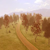 Course des forêts