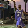 Basketball 2013