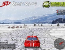Rally 3D
