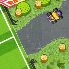 Raccon racing