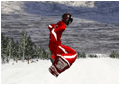 Snowboard 2013